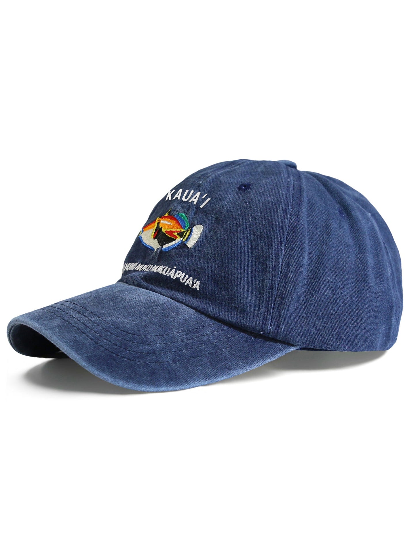 CAP: Humuhumu nukunuku apua'a - Kauai