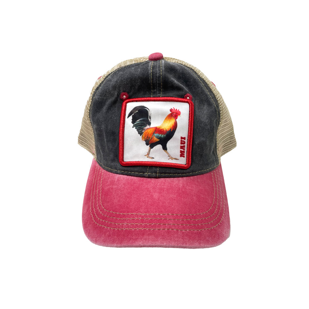 CAP: Maui Rooster