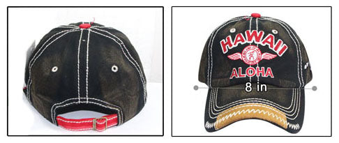 CAP: Hawaii Aloha