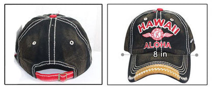 CAP: Hawaii Aloha