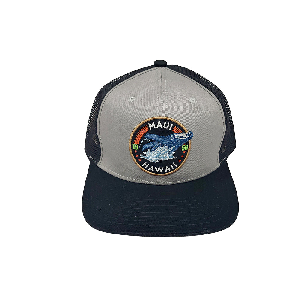 CAP: Maui Whale Watch
