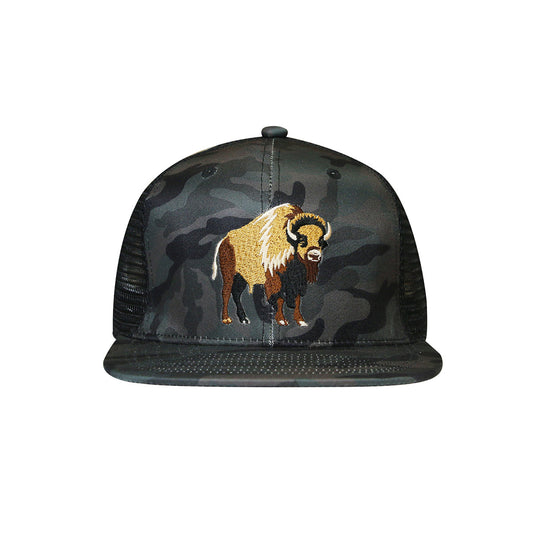 CAP : America Bison